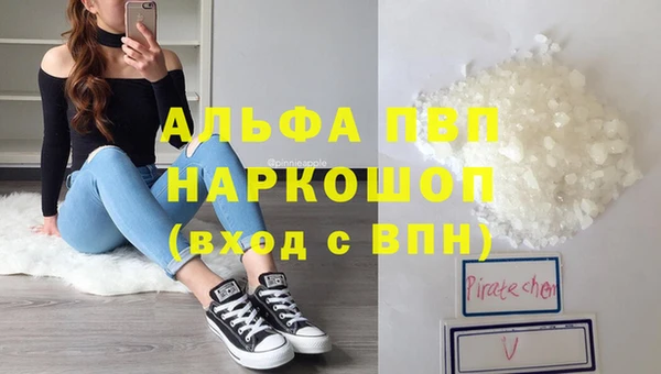 стафф Инта