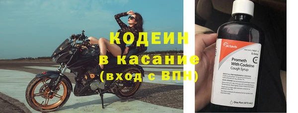стафф Инта