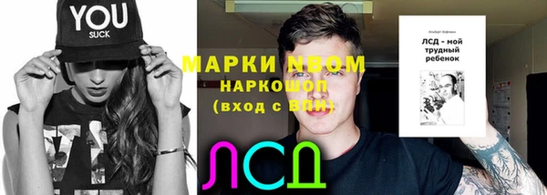 стафф Инта