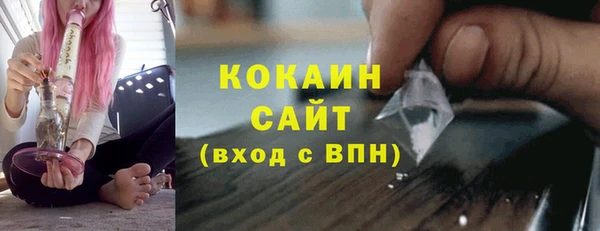 стафф Инта
