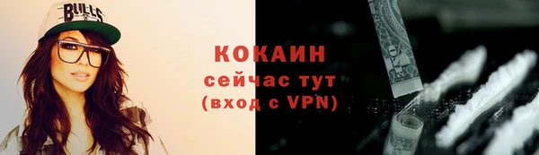 стафф Инта
