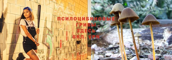 стафф Инта