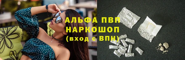 стафф Инта