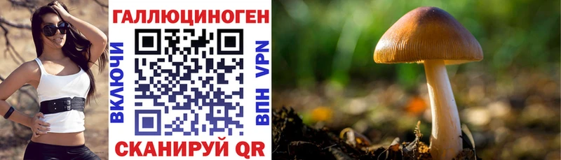 Галлюциногенные грибы прущие грибы  Купить закладки  Воткинск 