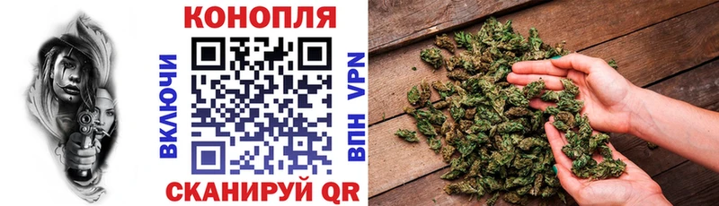 Бошки Шишки планчик  Купить где  Воткинск 